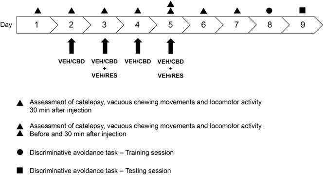 Experimental design. The animals received four injections of CBD (0.5 or 5 mg/kg) or vehicle (saline + 1% tween-80) on days 2–5, and two injections of reserpine (1 mg/kg) or vehicle (0.5% glacial acetic acid + distilled water) on days 3 and 5. Locomotor activity, vacuous chewing movements, and catalepsy behavior were assessed on days 1–7. On days 8 and 9, animals were submitted to the training and test sessions of the discriminative avoidance task, respectively. CBD, cannabidiol; RES, reserpine; VEH, vehicle. n = 10/group.