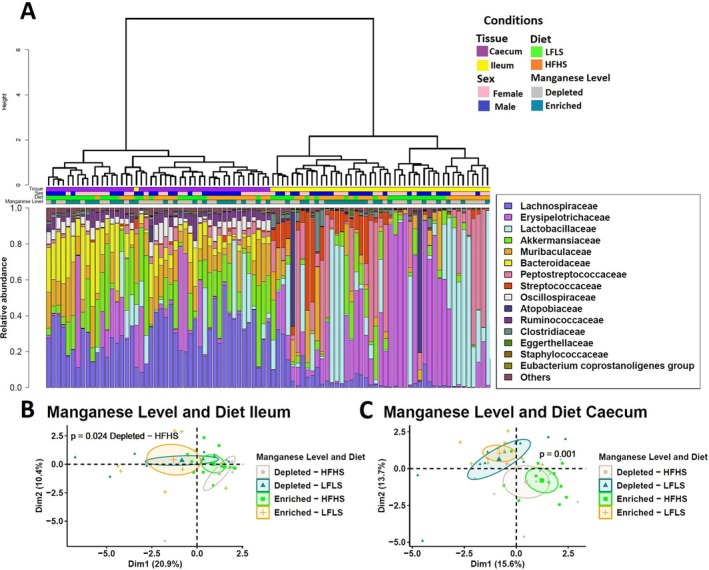 Intestinal microbiota composition in response to Mn‐enriched and Mn‐depleted LFLS or HFHS diets. (A) Relative bacterial abundance at the family level in response to Mn‐depleted and Mn‐enriched LFLS or HFHS diets in ileum, and caecum. Families representing < 1% of total bacterial abundance were aggregated. Dendrogram showing hierarchical clustering based on Canberra distance between samples is showed and determines the sample order. The corresponding annotations for tissue, sex, diet, and Mn level are displayed. (B) Principal component analysis (PCA) shows the impact of depleted/enriched concentrations of Mn with High and Low‐Fat Sucrose diets on gut microbiota composition of (B) the ileum and (C) the caecum. PERMANOVA indicates significance of microbiota composition differences between the dietary conditions. The samples are at Day 28 of the study.