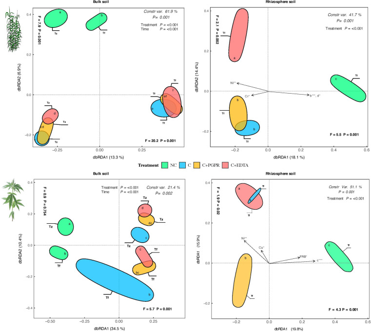 Distance-based redundancy analysis (dbRDA) plots showing shifts in microbial diversity (OUT) of RS and BS of hemp and giant reed among treatments and sampling time. Arrow indicates environmental variables with significance level (* < 0.05, ** < 0.001, *** < 0.001). Letters within ellipses denote significant differences (Bonferroni’s test, P = 0.05) in OUT’s similarity matrices among treatments/sampling time combination as assessed by permutational multivariate analysis of variance (PERMANOVA).
