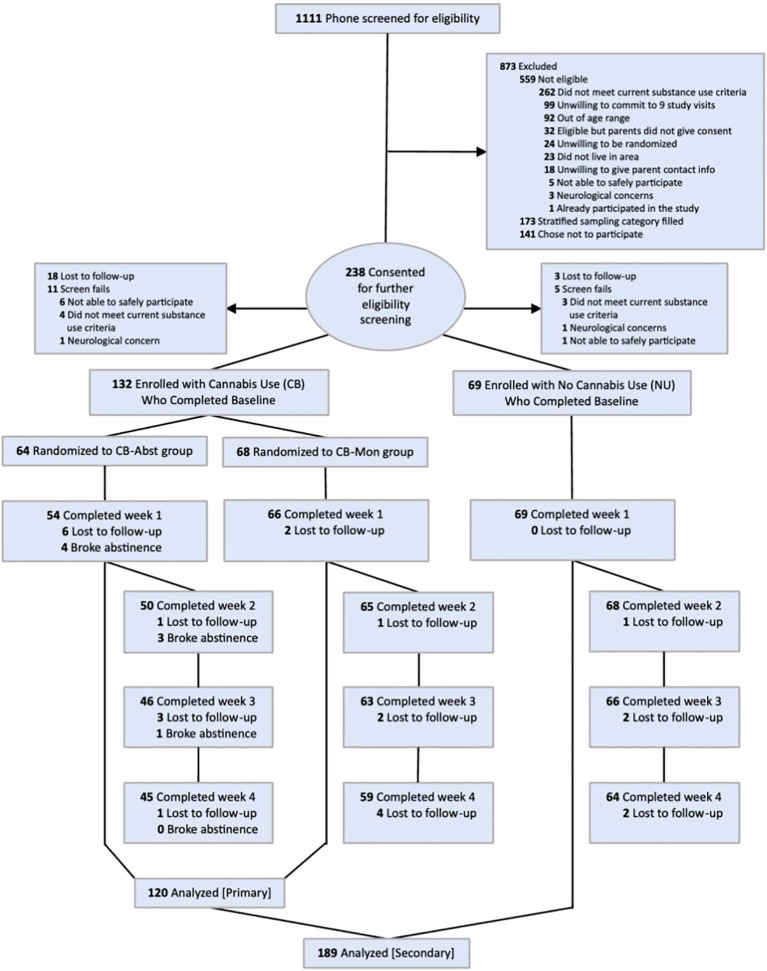 Flowchart illustrating participant eligibility and follow-ups in a study. Initially, 1,111 were screened, with 873 excluded and 238 consented for further screening. Of those, 132 enrolled with cannabis use and 69 without. Each group is divided: 64 in CB-Abst, 68 in CB-Mon, and 69 in NU. Follow-ups show gradual participant loss. Final analyses include 120 in primary and 189 in secondary.