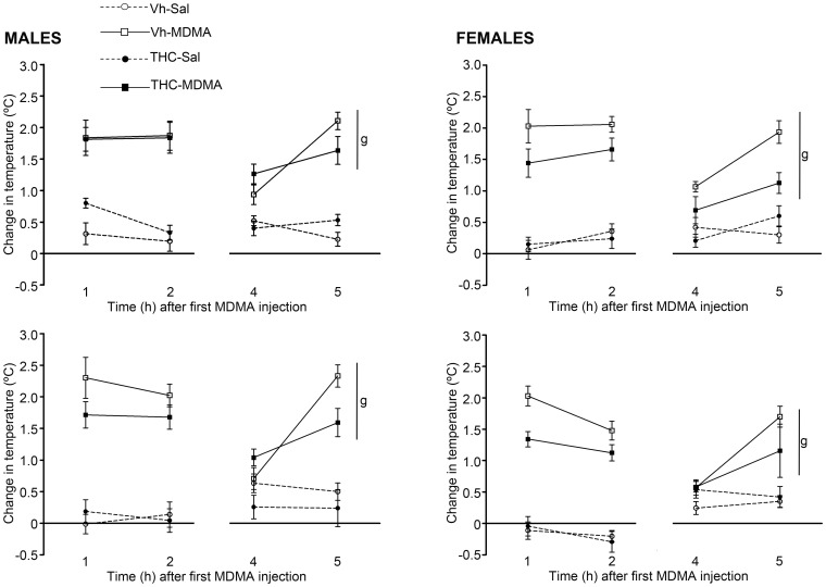 Changes in body temperature on the first (pnd 30) and last (pnd 45) days of MDMA administration.Animals were exposed to increasing doses of THC (2.5, 5 and 10 mg/kg or vehicle) from pnd 28 to 45 and to MDMA (10 mg/kg or saline) twice daily every 5 days from pnd 30 to 45 (see text for details). The animals' body temperature was measured just before the first MDMA (or Sal) injection to establish the baseline, and then one, two and four hours later, the latter immediately before the second MDMA (or Sal) injection, as well as one hour after that second injection (arrows indicate MDMA/Sal injections). The figures show the change in rectal temperature with respect to the baseline temperature (mean ± S.E.M.) expressed in degrees centigrade (°C). The number of animals per experimental group: males, Vh-Sal (16), Vh-MDMA (14), THC-Sal (16), THC-MDMA (14); and females, Vh-Sal (16), Vh-MDMA (14), THC-Sal (16), THC-MDMA (12). According to a repeated measures ANOVA (P<0.05), (g) represents a significant MDMA effect within the same sex group.