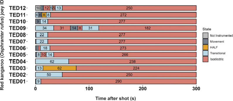 Characteristics of electroencephalogram (EEG) waveforms in individual red kangaroo (Osphranter rufus) joeys (n = 12) shot (time-point 0) with the Turkey Euthanasia Device (TED). Light grey bars represent periods when no data were collected due to joeys not being instrumented; dark grey movement artefact; blue transitional EEG; pink isoelectric EEG; and orange high amplitude low frequency (HALF). Numbers within bars represent duration of the EEG states (in s).