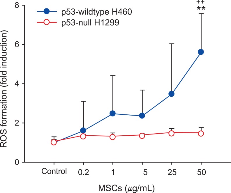 Reactive oxygen species (ROS) generation by marijuana smoke condensates (MSCs) in H460 cells and H1299 cells. The cells were seeded in 48 well plates and exposed to MSCs (0.2-50 µg/mL) for 6 hours. ROS was detected by fluorescence measurement of the reported DCF and the results are given as fold induction. The results are expressed as mean±SD. Values were significantly different from each control (0.1% DMSO; **p < 0.01) or each concentration of MSCs in H1299 cells (††p < 0.01).