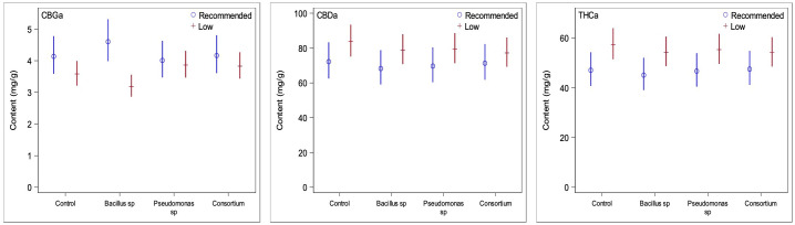 Comparisons of the three primary cannabinoids of interest between low and recommended nutrient regimes. Low nutrient regime consistently led to higher concentrations of CBDA and THCA than under recommended nutrients regardless of PGPR treatment. CBGA content on the other side was slightly higher under recommended nutrient conditions. This is likely due to recommended nutrient regimes not converting CBGA to CBDA and THCA at the same rate of the low nutrient regimes at time of harvest.