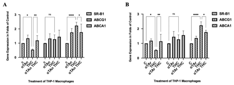Quantification of SR-B1, ABCA1, and ABCG1 mRNA expression in THP-1 macrophages. Cells were treated as indicated for 18 h (αTAr, αTAn (50 μM); THC, CBD (6 μM)). Total RNA was extracted, reverse transcribed, and gene expression measured by qPCR (Taqman). (A) THC showed weak inhibitory effects on SR-B1 gene expression at the mRNA level, which was prevented by αTAn. No significant regulatory effects were observed with ABCG1 gene expression with THC and αTAn. THC significantly induced ABCA1 gene expression at the mRNA level, and co-treatment with αTAn showed inhibitory effects. (B) THC showed weak inhibitory effects on SR-B1 gene expression, which was prevented by αTAr. No significant regulatory effects were observed on ABCG1 gene expression with co-treatment with THC and αTAr. THC significantly induced ABCA1 gene expression at the mRNA level, and co-treatment with αTAr showed inhibitory effects. (mean ± SEM, n = 6 for THC, αTAr, αTAn * p < 0.05, ** p < 0.005, **** p < 0.0001 relative to untreated control set to 100%; ns: non-significant).