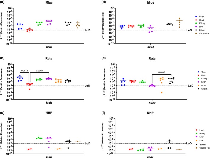 Endocannabinoid Metabolic Enzymes Are Ubiquitous In Rodents, But More Restricted In The NHP Model. Relative expression of faah and naaa was determined using qPCR from the colon, heart, kidney, liver, MLN, spleen, and visceral fat from mice, rats, and NHP. (a) Faah mRNA was detected in all organs tested, having differential expression between them. The heart of mice had the lowest levels for this gene. (b) Faah mRNA was detected in all organs included in this study. The colon of rats showed higher levels of faah, particularly significant when compared to expression in the heart. (c) Levels of faah in the NHP model were detected in the kidney, liver (3/4 rhesus), spleen (3/4 rhesus), and visceral fat. (d) Naaa mRNA was detected in all organs but it had partial expression and significantly lower expression in the liver (3/5 mice) when compared to the levels of expression in the spleen and visceral fat. (e) Expression of naaa mRNA in rats was detected in all organs and was least abundant in liver. (f) Naaa mRNA was detected only partially in the spleen (2/4 rhesus). Data are graphed as the mean ± SD.