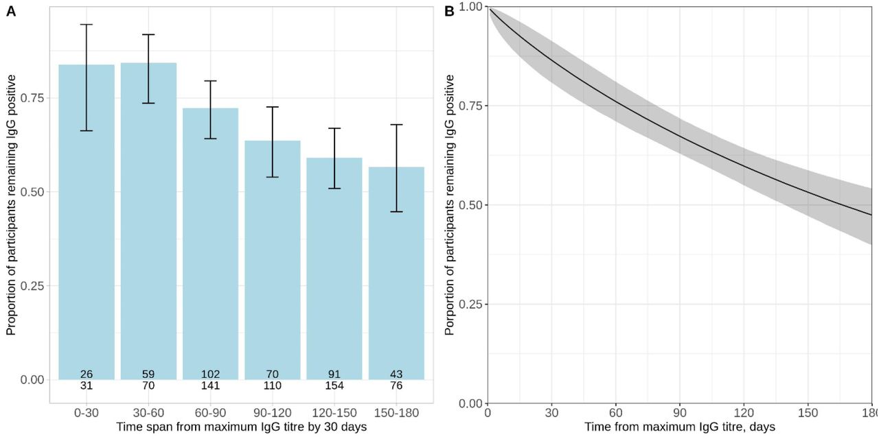 Proportion of HCWs remaining antibody positive by days following their maximum antibody level.Panel A shows the observed proportion in 30-day intervals with binomial 95% confidence intervals. The number of individuals tested and the number of individuals remaining antibody positive is shown at the base of each bar. Panel B shows the results of a Bayesian interval censored survival analysis, the posterior mean and 95% credibility interval are shown.