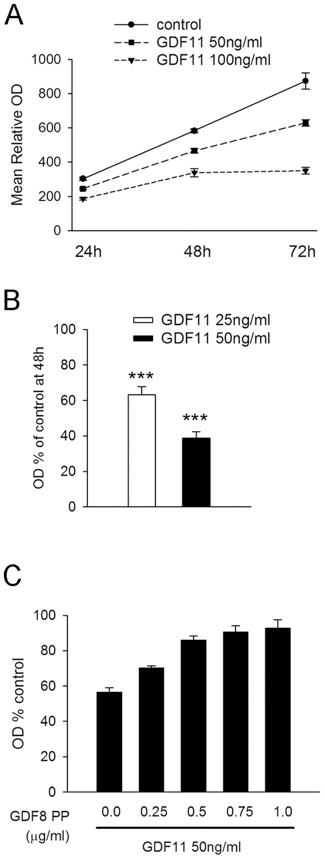 GDF11 significantly attenuates Cor-1 cell proliferation in a dose-dependent manner.Cor-1 cells were grown in 96-well plates with cell number determined relative to control cultures using the MTS assay (see Methods). A representative experiment showing GDF11-dependent inhibition of Cor-1 cell proliferation over a 72 hr period is shown in (A). Each data point shows the mean relative optical density (+/−SEM) from 16 replicate cultures. (B) Incubation with either 25 ng/ml or 50 ng/ml of GDF11 significantly inhibits Cor-1 cell proliferation as monitored by MTS assay at the 48 hr time point. Data were normalised to control values for each of 5 independent experiment (mean ± SEM; ***p<0.001, n = 5). (C) The inhibition of proliferation caused by GDF11 (50 ng/ml) measured at the 48 hr time point can be prevented in a dose-dependent manner by the GDF8 propeptide (PP). Shown here are results from a representative experiment, with each data point representing the mean +/− SEM relative to the control determined from 16 replicate cultures.