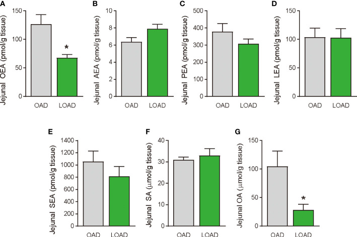 Jejunal FAE levels in mice fed the OAD and LOAD for two weeks. Mice were fed the OAD and LOAD for two weeks and jejunal FAEs were measured using LC–MS/MS. Jejunal SE and OA were measured using GC/ESI. (A) OEA, (B) AEA, (C) PEA, (D) LEA, (E) SEA, (F) SA, and (G) OA. Values are expressed as means ± SEMs (n = 5). *P < 0.05.