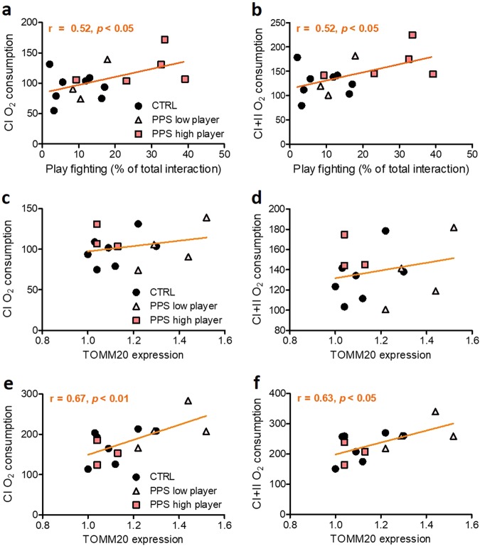 Correlations between respirometry parameters and play fighting or gene expression in the amygdala or NAc.Play fighting positively correlated with complex I- and complex II-dependent respiration measured in the amygdala, when taking into account all data together (a, b). Gene expression of TOMM20 in the amygdala homogenates did not correlate with respirometry parameters from amygdala measurement (c, d), whereas it positively correlated with nucleus accumbens (NAc) data (e, f). N: CTRL = 8, PPS low player = 3, and PPS high player = 5. Results are expressed as mean ± SEM