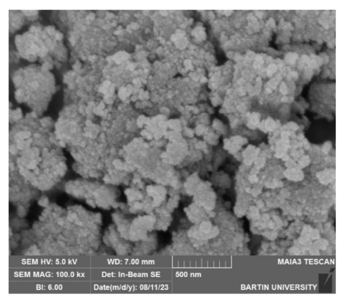 SEM image of green-synthesized TiO2 nanoparticles.