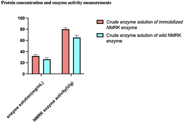 Results of protein concentration and NMRK enzyme activity in two crude Enzyme extracts.