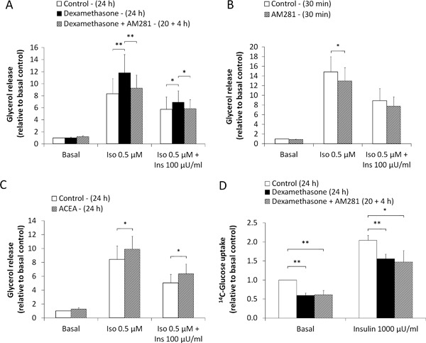 Effects of CNR1 antagonist/agonist on lipolysis and glucose uptake. a Effects of long-term incubation of SAT without (control) or with dexamethasone (0.3 µM) for 24 h or dexamethasone for 24 h plus the CNR1-specific antagonist AM281 (3 µM) for the final 4 h of incubation in basal, isoproterenol (0.5 µM) and isoproterenol plus insulin (100 µU/mL) adipocyte lipolysis (n = 10). b Effects of short-term incubation (30 min) of isolated adipocytes without (control) or with the CNR1-specific antagonist AM281 (3 µM) in basal, isoproterenol (0.5 µM) and isoproterenol plus insulin (100 µU/mL) adipocyte lipolysis (n = 5). c Effects of long-term incubation of SAT without (control) or the CNR1-specific agonist ACEA (1 µM) for 24 h of incubation in basal, isoproterenol (0.5 µM) and isoproterenol plus insulin (100 µU/mL) adipocyte lipolysis (n = 8). d Effects of long-term incubation of SAT without (control) or with dexamethasone (0.3 µM) for 24 h or dexamethasone for 24 h plus the CNR1-specific antagonist AM281 (3 µM) for the final 4 h of incubation in basal and insulin-stimulated (1000 µU/mL) adipocyte glucose uptake (n = 12)