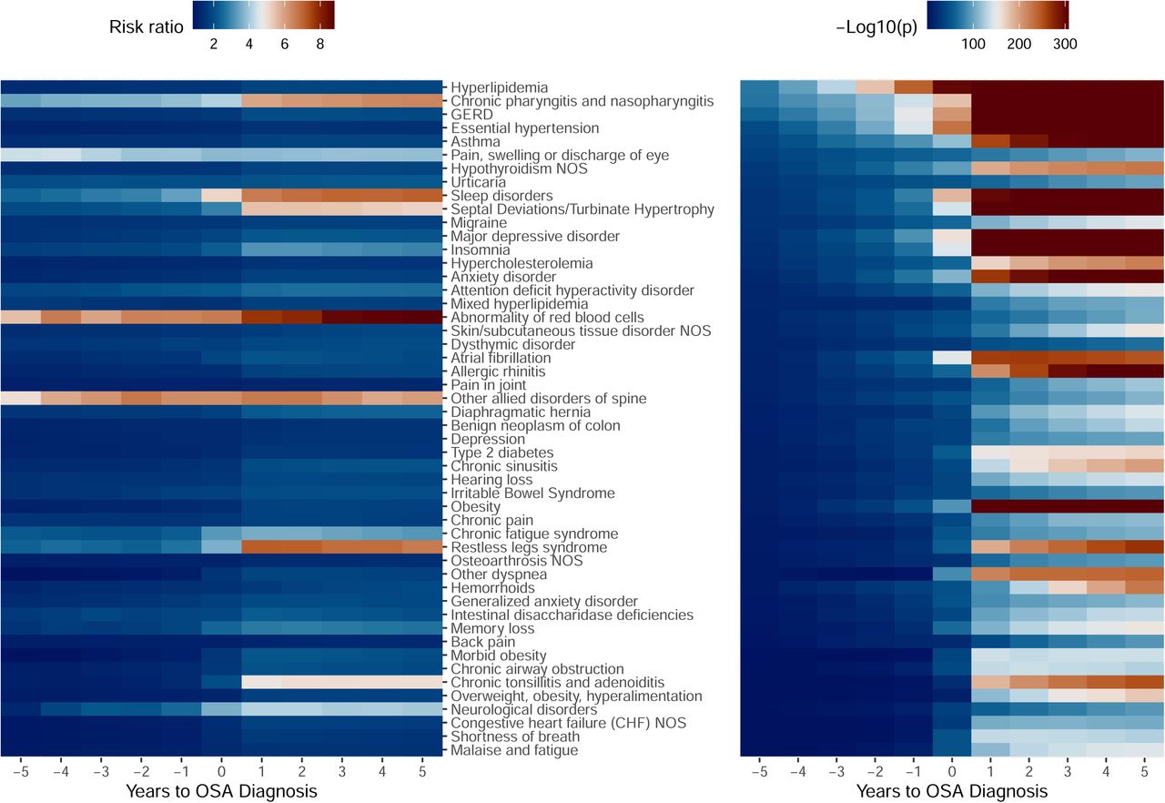 Temporal patterns of associations between sleep apnea and the 50 lead diseases.The lead 50 cross-sectional associations were further tested in a sensitivity analysis censoring data a number of years away from the first sleep apnea results (or the matching age for controls).Future comorbidity cases were classified as controls for a year prior to the initial comorbidity diagnosis. Analyses were adjusted for age, sex, BMI, population, and healthcare encounters since age 18 to a given relative year. Age was set to the relative year for controls or a prior year for cases with an earlier diagnosis. BMIs were based on measurements relative to a given age. The left panel displays risk ratio point estimates, while the right panel displays the negative log values of association p-values. Rows are ordered based on the strength of the association five years prior to the first OSA diagnosis date. Further details are provided in Table S6.