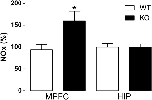 NO2 -/NO3 - products (NOx) levels in the medial prefrontal cortex (MPFC) and hippocampus (HIP) of wild-type (WT) and nitric oxide synthase (iNOS) knockout (KO) mice. iNOS KO mice have increased NOx levels compared with WT in the MPFC, but not in the HIP (n=8–9/group). Results are expressed as percentage means±SEM of control values. Student’s t test, *P<.05.