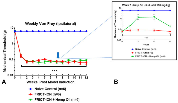 Mechanical hypersensitivity in a chronic trigeminal neuropathic pain model and effects of hemp oil. (A) Effect of trigeminal nerve injury. The reduction in mechanical threshold latency response to von Frey fiber mechanical stimulation of the whisker pad is statistically significant for 12 weeks after FRICT-ION trigeminal nerve compression injury. (B) Effect of hemp oil ingestion. The efficacy of hemp oil administered in peanut butter was tested in week 7 post nerve injury in male mice. Mechanical threshold was tested hourly on the ipsilateral whisker pad. The data are presented as a mean ± SEM. Two-way ANOVA with Dunnett’s multiple comparisons test. For the graphs, asterisks (*) indicate p < 0.05 comparing the FRICT-ION + Hemp to naïve control and (***) p < 0.001 comparing the FRICT-ION to naïve control. Dagger (†) indicates p < 0.05 comparing the FRICT-ION + Hemp to FRICT-ION.