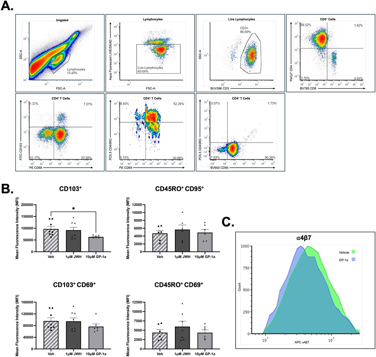 CB2R signalling alters the expression of memory T cell markers in human CD4+ T cells(A) Flow cytometry gating strategy for the analysis of the expression of various immune cell markers on isolated human CD4+ T cells following 72 h cannabinoid treatment (N = 9, n = 3). Images provided are representative of merged FCS files. (B) Expression analysis of various immune cell markers, namely CD103, CD95, CD45RO, and CD69, on human CD4+ T cells following cannabinoid treatment assessed by means of MFI via flow cytometry. (C) Histogram overlay visually depicting the expression of integrin α4β7 on isolated human CD4+ T cells following CB2R blockade in comparison to vehicle-treated cells. The histogram provided is representative of the average MFI values of the merged files. Bar chart dots are representative of technical replicates. Statistical analysis performed using a two-tailed student’s T test, with values of significance being indicated as * p<0.05, ** p<0.01, *** p<0.001.