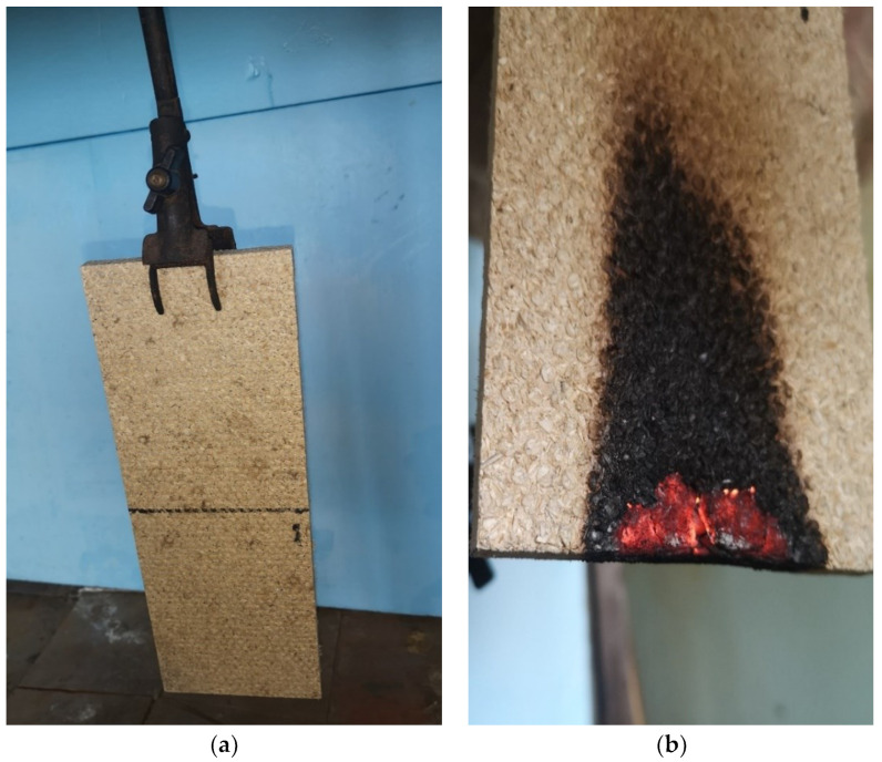 Combustibility tests of the specimens: (a) fixation of the specimen in the holder; (b) smoldering of the specimen after removing the flame source.