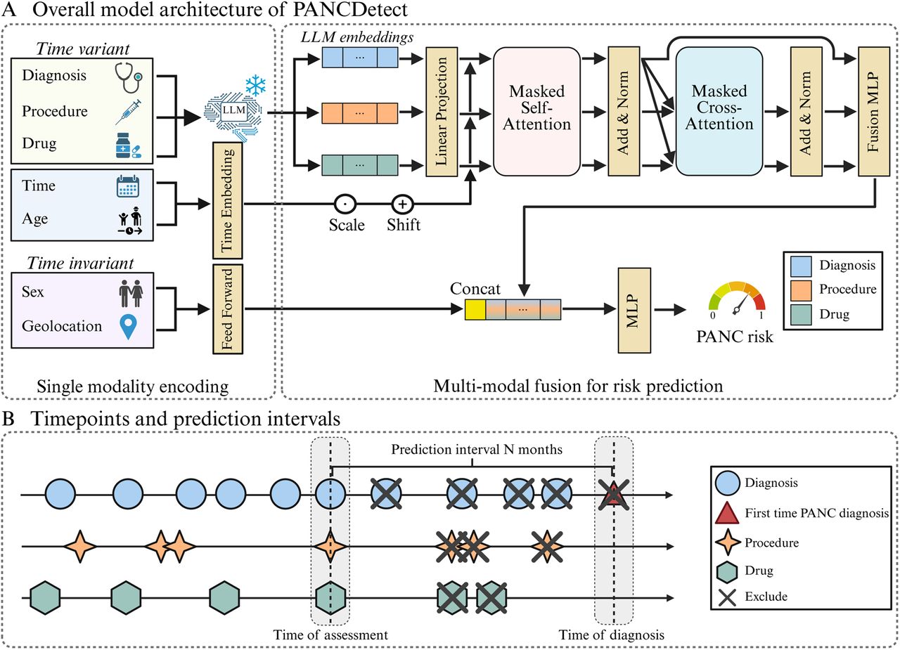 Model structure of PANCDetect and single-interval prediction design.Panel A shows the overall model structure of PANCDetect. Firstly, time-varying EHR events (diagnoses, procedures, medications) are encoded with LLM-based embeddings and temporal markers to represent longitudinal patient trajectories and then processed by a Transformer with masked self- and cross-attention. The resulting sequence representation is pooled into a patient vector and late-fused by concatenation with time-invariant attributes (e.g., sex, geographic location); a final MLP maps the fused vector to a continuous pancreatic cancer risk score. Panel B illustrates the single-interval prediction design, where EHR events within N months before cancer diagnosis are masked to reduce data leakage, and trajectories are truncated according to predefined prediction windows (6, 12, 24, 36, and 60 months). LLM: large language model; MLP: multi-layer perceptron; PANC: pancreatic cancer.