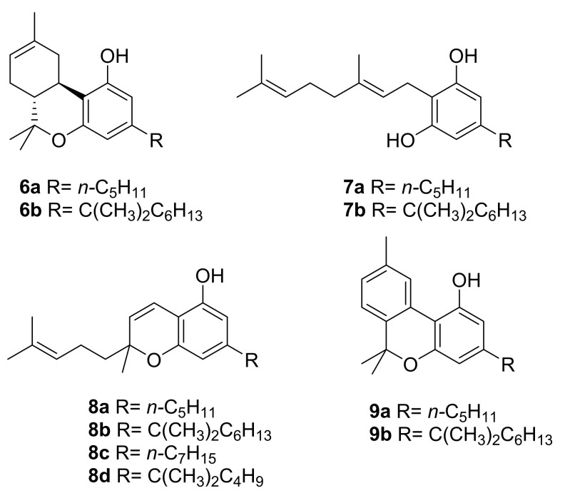 Structure of major phytocannabinoids Δ 8-THC (6a), CBG (7a), CBC (8a), and CBN (9a) and their α,α-dimethylheptyl analogues (6b–9b).
