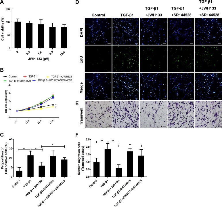 CB2R agonist JWH133 inhibited TGF-β1 induced mice lung fibroblasts proliferation and migration(A) JWH133 had no toxic effects on mice lung fibroblasts (MLF). MLF were treated with JWH133 at the indicated doses for 48 hours, and cell viability was analyzed by the MTT method. Results were expressed as percentage of cell viability against untreated cells. (B–F) MLF were preincubated (30 min, 37°C) with or without JWH133 (10μM) or/and SR144528 (1.0μM), then stimulated (24 h, 37°C) with TGF-β1 (5ng/ml); (B) Growth curve of MLF after intervention from hours 0 to 48. *and#: P < 0.05 vs. TGF-β1 group; (C and D) The EdU assay showed that JWH133 could reduce TGF-β1-mediated MLF proliferation. (E and F) The MLF migration response to 10% FBS was analyzed using a Transwell assay. Cannabinoid receptor type 2 antagonist SR144528 could reverse TGF-β1+JWH133 group’s trend. Bar, 100 μm; Data are mean ± SD of 3 independent experiments. *P < 0.05, **P < 0.01.