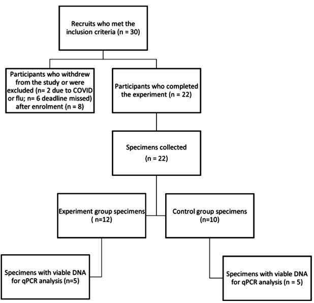 Schematic diagram of the participants' process.