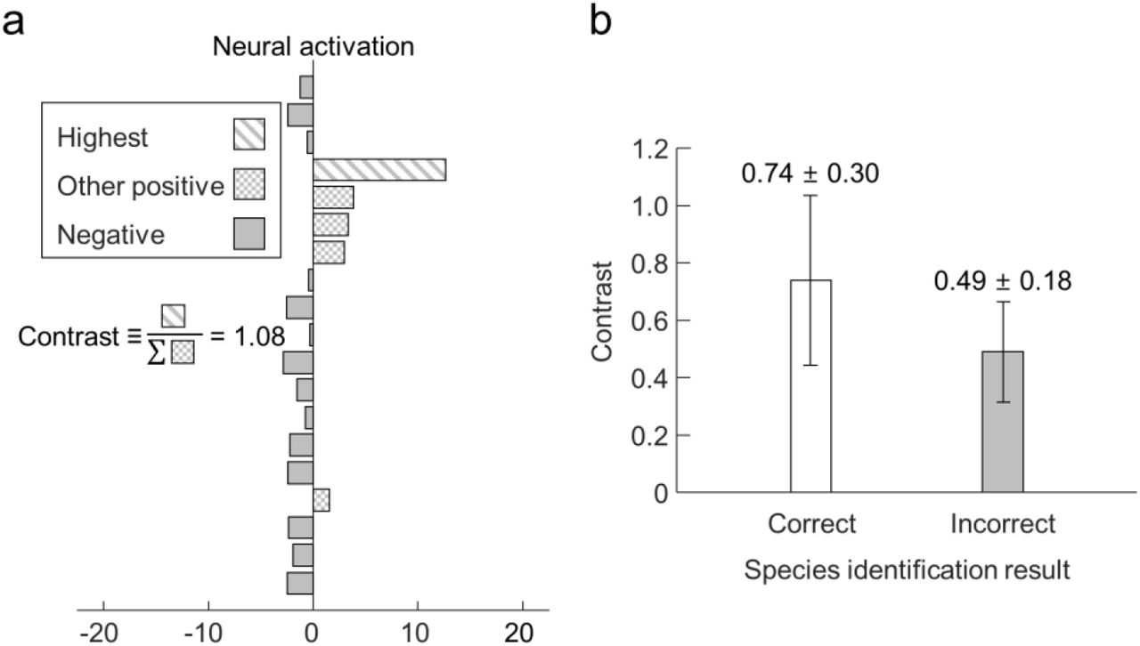 Contrast of neural activation for correctly and incorrectly identified tomograms.(A) The contrast of neural activation is defined as the highest neural activation divided by the sum of other positive neural activation, in order to represent the exclusiveness of the identification. (B) Statistical comparison of the identification contrast between the correctly identified test data and the misidentified test data.