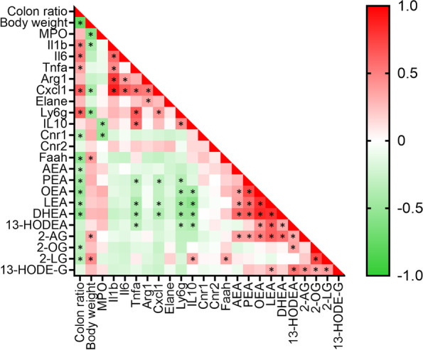 Correlation analysis between various parameters of colitis, inflammatory cytokine and neutrophil marker expression and eCBome gene expression and lipid mediator levels. Pearson’s r correlation coefficient is indicated from 1 (red, positively correlated) to -1 (green, negatively correlated). *p < 0.05