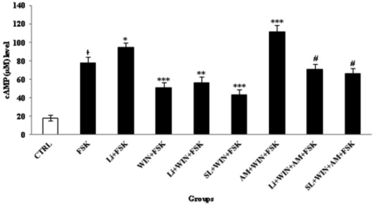 Cyclic AMP (cAMP) changes in study-treated groups in cerebellar granular neurons (CGNs). CGNs were cultured at 3.2 × 105/cm2 density in 12-well plate and treated with described method for 60 min. Before, the cAMP measurement, forskolin (FSK, 1 µM) was added for 10 min following the addition of WIN 55,212-2 (WIN, 1 µM) or Lithium (Li, 1 mM) into the CGNs medium, for induction of cAMP level. The control (CTRL) group was CGNs without treatment. All data were presented as Mean ± SD. Statistically significant values are presented as follows: * p < 0.05, compared to CTRL, *** p < 0.001, ** p < 0.01 and * p < 0.05, compared to FSK group; # p<0.05, compared to AM (AM251, 1 µM) + WIN 55, 212-2 (WIN, 1 µM) + FSK (1 µM) group