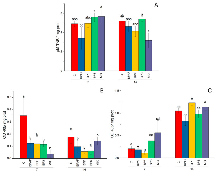 Histone acetyltransferase in digestive glands (A), expressed as µmol TNB-/mg proteins, and histone deacetylase in gills (B) and in digestive glands (C), expressed as OD405/ mg proteins. Different letters indicate significant differences among all treatments. N = 5.
