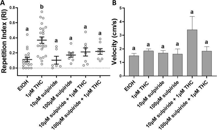 Co-administration of Tetrahydrocannabinol (THC) and the atypical antipsychotic sulpiride significantly reduced the THC-induced behavioral stereotypy in adult zebrafish. (A) At 10 μM sulpiride with 1 μM THC and 100 μM sulpiride with 1 μM THC, the THC-induced Repetition Index (RI), calculated as a mean ± SEM, was not statistically different from the controls (EtOH) (ns p > 0.05). (B) None of the co-administrations significantly altered the swimming velocity during exposure (ns p > 0.05). Controls (EtOH) (0.0015% (n = 19)), 1 μM THC (n = 23), 10 μM sulpiride (n = 6), 100 μM sulpiride (n = 8) 10 μM sulpiride + 1 μM THC (n = 8) and 100 μM sulpiride + 1 μM THC (n = 8). Values without a letter in common are statistically different to the control condition (p < 0.05, Kruskal–Wallis and Dunn's multiple comparisons test).
