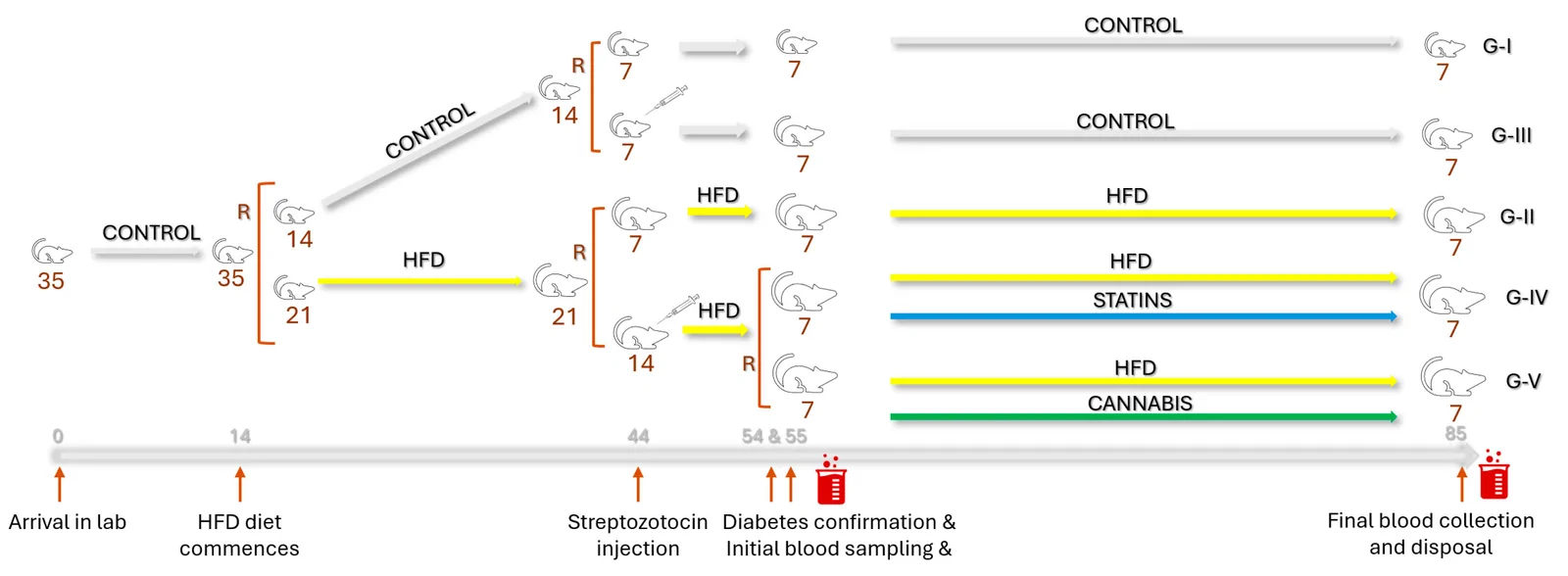 Schematic representation (horizontal axis, days) of randomization processes which took place during our experiment. Control, control diet; HFD, High-Fat Diet; R, randomization occurrence.