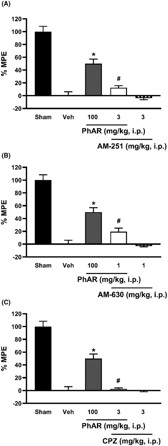 Effect of AM‐251 (A), AM‐630 (B) and capsazepine (C) on antiallodynic effect induced by PhAR‐DBH‐Me (100 mg/kg, i.p.). Bars show the mean of the % Maximum Possible Effect (MPE) of 6 animals ± SEM. *P < .0001 vs SNL; #P < .0001 vs PhAR‐DBH‐Me, was determined by one‐way analysis of variance (ANOVA), followed by Tukey´s test