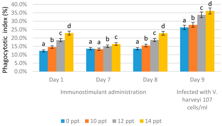 Phagocytosis activity on Litopenaeus vannamei after EPS administration with different immersion concentrations. Day 1: EPS administration; Day 7: no treatment; Day 8: EPS booster. Day 9: post-infection with Vibrio harveyi, 107 cells/mL. Bars represent mean with SD, different letters (a, b, c, d) between the bars indicate highly significant differences (p < 0.05).