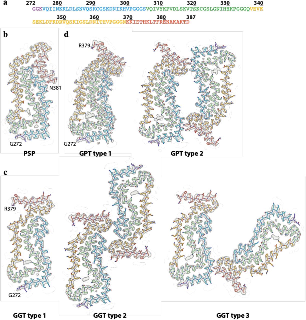 Three-layered 4R tau filament structures(a), Amino acid sequence of the cores of PSP, GPT type 1, GPT type 2, GGT type 1, GGT type 2 and GGT type 3 tau filaments. Residues in R1 are coloured purple; residues in R2 light blue; residues in R3 green; residues in R4 gold; residues in the C-terminal domain dark orange. (b), Cryo-EM density map (in transparent grey) and atomic model for the PSP filaments. (c), As in (b), for GGT type 1, GGT type 2 and GGT type 3 filaments; (d) As in (b), for GPT type 1 and GPT type 2 filaments.