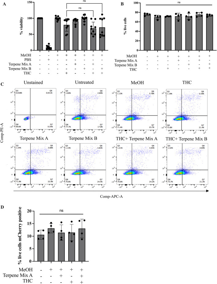 Terpenes do not potentiate the effects of Δ9-THC. Treatment of MH-S cells with terpenes in combination with Δ9-THC had no additive effect as measured by MTT assay (A) or Annexin-V PI staining assay (B). (C) Representative gating strategy for Annexin-V PI assay as measured by flow cytometry. (D) Terpene Mix A in combination with Δ9-THC did not affect phagocytosis of mCherry-expressing E. coli. Results are expressed as the mean ± SEM of 4–9 independent experiments; ns, not significant.
