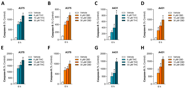 Effect of THC and CBD on activation of caspase-8 (A–D) and caspase-9 (E–H) in A375 and A431 cells. Cells were incubated with THC or CBD at the indicated concentrations for 6 h. The values given are based on caspase activity assays. All percentage values shown refer to the respective time-matched vehicle control, which was set to 100%. The data are mean values ± SEM of n = 9 per group from 3 independent experiments. * p ≤ 0.05 vs. corresponding vehicle control; one-way ANOVA with Dunnett’s post hoc test.