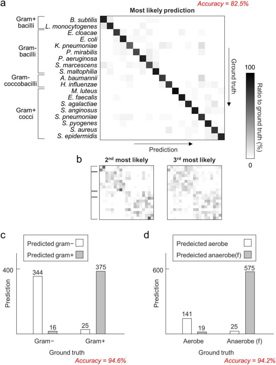 Distribution of error in species identification based on a single tomogram.(A) The confusion matrix visualizes the overall performance of the entire blind test dataset. The row and column indices correspond to the ground truth and the prediction, respectively. The indices of the 19 species are ordered to reflect the common bacterial categories. (B) The distribution of the second and the third most likely species further visualizes the interspecific similarity recognized by the trained artificial neural network (ANN). (C), (D) Individual tomograms are categorized under broader groups including gram-stainability and respiratory metabolism using a modified ANN for each task.