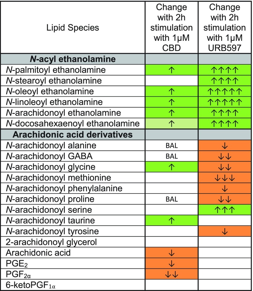 Comparison of effects of 2 h stimulation with 1 μM CBD and 2 h stimulation with 1 μM URB597 on levels of NAEs, targeted AA-derived lipoamines, 2-AG, free AA, and PGs in BV2 microglia. Cells with shaded arrows indicate a change for that lipid in the drug-exposed BV2 cells relative to vehicle-exposed BV2 cells. The arrow color indicates the direction of a significant result relative to vehicle. Green colors represent increases, with darker green representing a significant (p<0.05) increase and lighter green representing a trending (p<0.10) increase. Orange color indicates a significant (p<0.05) decrease. The number of arrows indicates the magnitude of the difference. One arrow indicates a magnitude difference of less than 1.5-fold, two arrows indicate a 1.5–1.99-fold change, three arrows indicate a 2–2.99-fold change, four arrows indicate a 3–9.99-fold change, and five arrows indicate a fold change greater than 10. BAL stands for “Below Analytical Limit,” whereas a blank cell indicates that there was no change in the lipid's level. See Supplementary Methods and Supplementary Figure S3 for more detailed description of analysis. Levels of five of the six NAEs measured increased with CBD, whereas all six increased with URB597. The increases were of a larger magnitude when cells were given URB597 compared to CBD. CBD increased levels of three AA-derived lipoamines and decreased AA and PG levels. In contrast, URB597 decreased levels of seven different arachidonic-acid derived lipoamines and did not affect AA or PG levels. The increase in AEA was the only change in an AA-derived lipid common to both CBD and URB597.