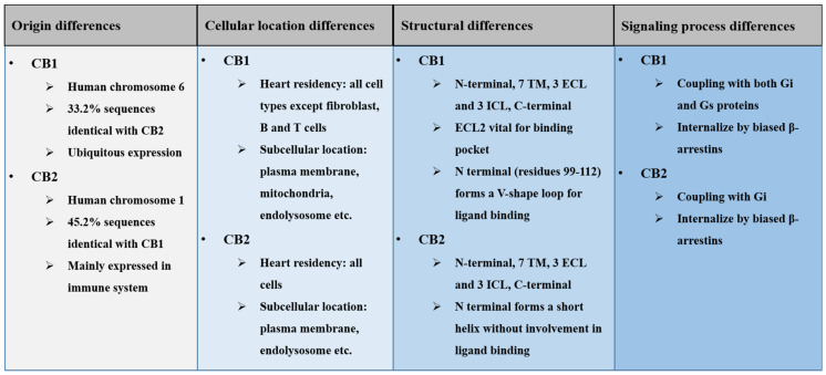 A summary of basic differences between the CB1 and CB2 receptors.