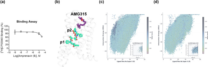 Predicted docking poses of amprenavir series against CB2. (a) Amprenavir weakly inhibits [3H]­CP55,940 binding under equilibrium conditions. Competition binding concentration–response curves were obtained in the presence of 0.5 nM [3H]­CP55,940 using membranes harvested from HEK/GIRK cells expressing rCB2. Data represent the mean ± SEM of three independent experiments run in triplicate. Data are plotted as a percentage of specific [3H]­CP55,940 binding. Nonspecific binding was determined in the presence of 10 μM CP55,940. (b) The two lowest energy unique binding modes predicted through docking of VU6077967 to CB2 (green). Superimposed structure of AMG315 based on the experimental structure of AMG315 with CB1 (purple; PDB ID 8GHV). (c) Docking score vs RMSD plot for VU6077967 where RMSDs are computed against pose 1 or (d) pose 2.
