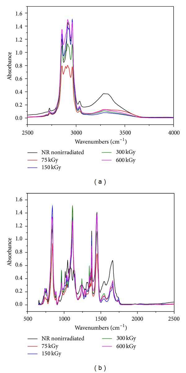 FTIR spectra for NR/hemp mixtures with 20 phr hemp content: (a) between 2500–4000 and (b) between 500–2500.