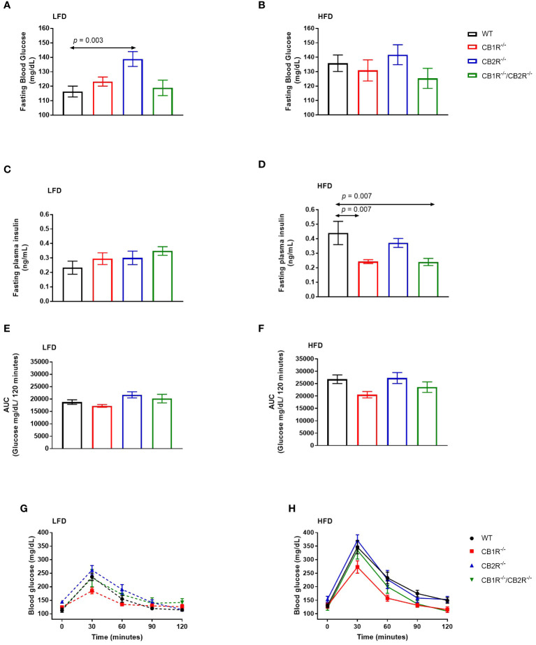 Glucose metabolism of female mice lacking the cannabinoid receptors Arrows indicate the comparison with WT mice. (A) Fasting blood glucose of female mice when fed with LFD for 6 weeks (n = 12-25/group). One way-ANOVA = 5.3; p = 0.002. (B) Fasting blood glucose of female mice when fed with HFD for 6 weeks (n = 9-19/group). One way-ANOVA = 0.9; p = 0.5 (C) Fasting blood insulin of female mice when fed with LFD for 6 weeks (n = 3-11/group). One way-ANOVA = 0.7; p = 0.6. (D) Fasting blood insulin of female mice when fed with HFD for 6 weeks (n = 5-8/group). One way-ANOVA = 6.7; p = 0.002 (E, G) Blood glucose levels of female LFD mice after intrapertonial injection of D-glucose solution (2 g/kg; n = 5-9). Area under the curve one way-ANOVA F = 3.8; p = 0.03. (F, H) Blood glucose levels of female HFD mice after intrapertonial injection of D-glucose solution (2 g/kg; n = 6-9). Area under the curve one way-ANOVA F = 3.0; p = 0.05.