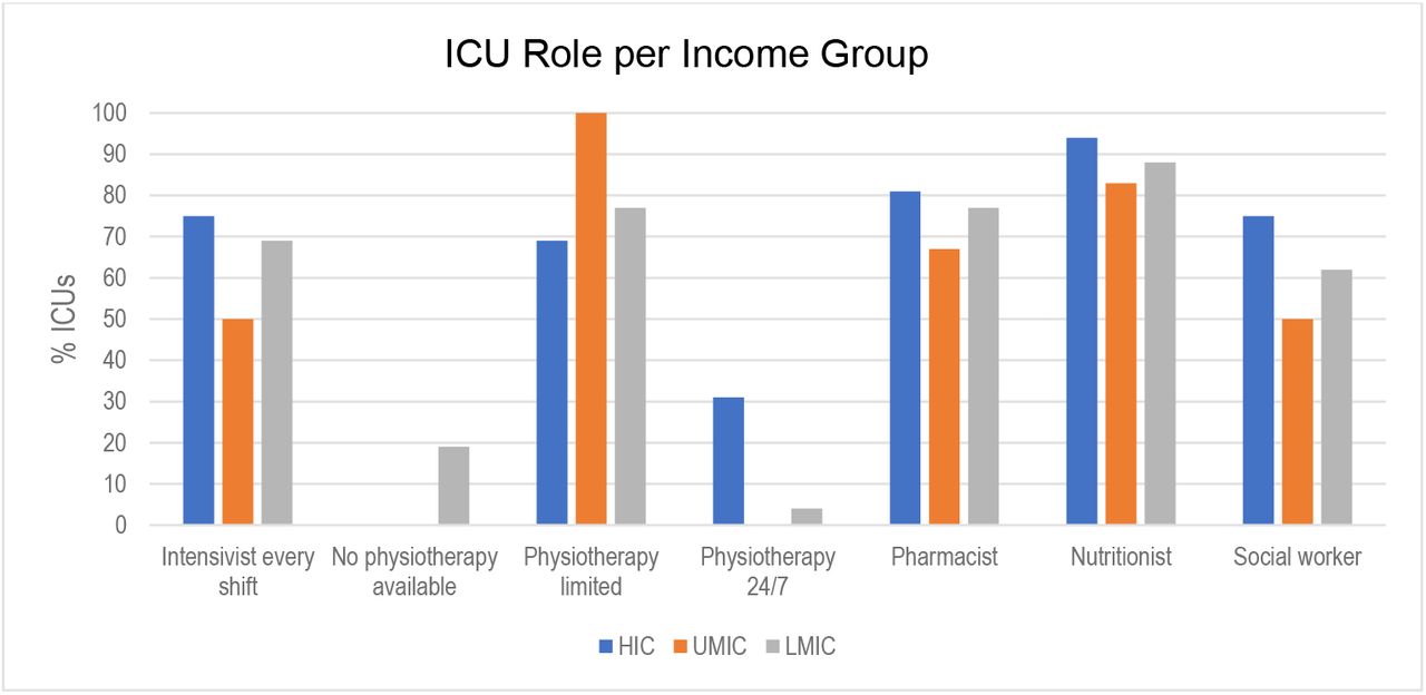 ICU role availability according to country income group