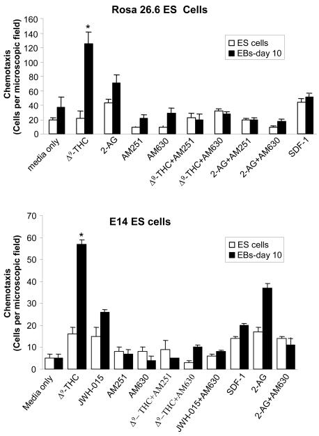 Effects of cannabinoid ligands on the chemotaxis of ES cells and hematopoietic differentiated ES-derived EB cells (EBs-day 10).Cells were placed in the upper well of the transwell in the presence or absence of specific inhibitors, as indicated. The ligands: 2-AG, Δ9-THC, JWH-015 and SDF-1α were placed in the lower chambers. Data show the mean value of 3 independent experiments (mean±SD). Error bars indicate SD. * P values with asterisk (*, P<0.05) show significant differences from control with media alone.