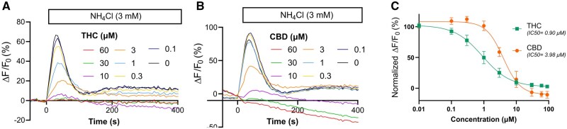 The action of delta-9-tetrahydrocannabinol (THC) and cannabidiol (CBD) on alkaline-evoked Ca 2+ signals in human sperm. Ca2+ signals evoked by NH4Cl (3 mM) in the absence (0 µM) and the presence of increasing concentrations of (A) THC and (B) CBD are shown. (C) Dose–response curves for signal amplitudes normalized to vehicle control (set to 100%) were generated for THC and CBD with a half-maximal inhibitory concentration (IC50) of 0.90 µM ± 1.11 µM (n = 4) and 3.98 µM ± 1.08 µM (n = 4), respectively. Dots in panel (C) represent mean values ± SD.