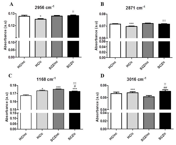 Major peak amplitudes related to the CH3 (A) 2956 cm−1, (B) 2871 cm−1, (C) the cholesteryl esters 1168 cm−1 and (D) the aromatic cys-alkelene (HC=CH) group 3016 cm−1 in ON cells from healthy controls non-cannabis users (HC/nc); healthy controls cannabis users (HC/c); schizophrenic patients non-cannabis users (SCZ/nc) and schizophrenic patients cannabis users (SCZ/c). The data are expressed as means ± S.E.M. * p < 0.05; ** p < 0.01; *** p < 0.001 vs. HC/nc. ! p < 0.05; !! p < 0.01; !!! p < 0.001 HC/c vs. SCZ/nc. # p < 0.05; ## p < 0.01; ### p < 0.001 SCZ/nc vs. SCZ/c.