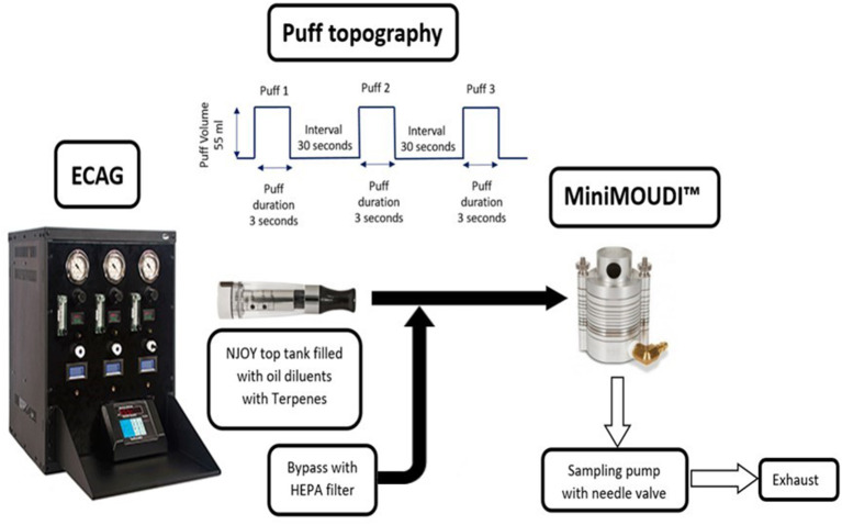 Schematics of the experimental setup.