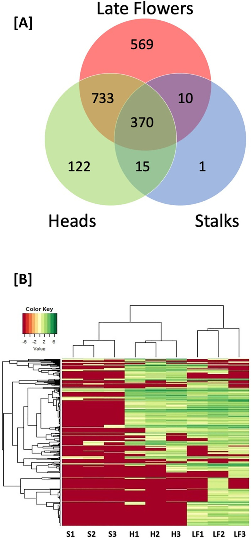 Venn diagram and cluster analysis of trichome fractions and flowers.[A] Venn diagram comparing the proteins found within the three tissue types: glandular trichome heads, stalks, and late flowers. [B] Hierarchical clustering of stalk enriched (S1-3), glandular trichome head (H1-3), and late flower (LF1-3) total spectral counts. The horizontal dendrogram represents the relationship each sample or column has with any other sample in the data set as pertains to that samples combination of spectral signatures. The vertical dendrogram defines the relationship a given protein or row has with any other protein in the data set with respect to abundance across all samples in this dataset.