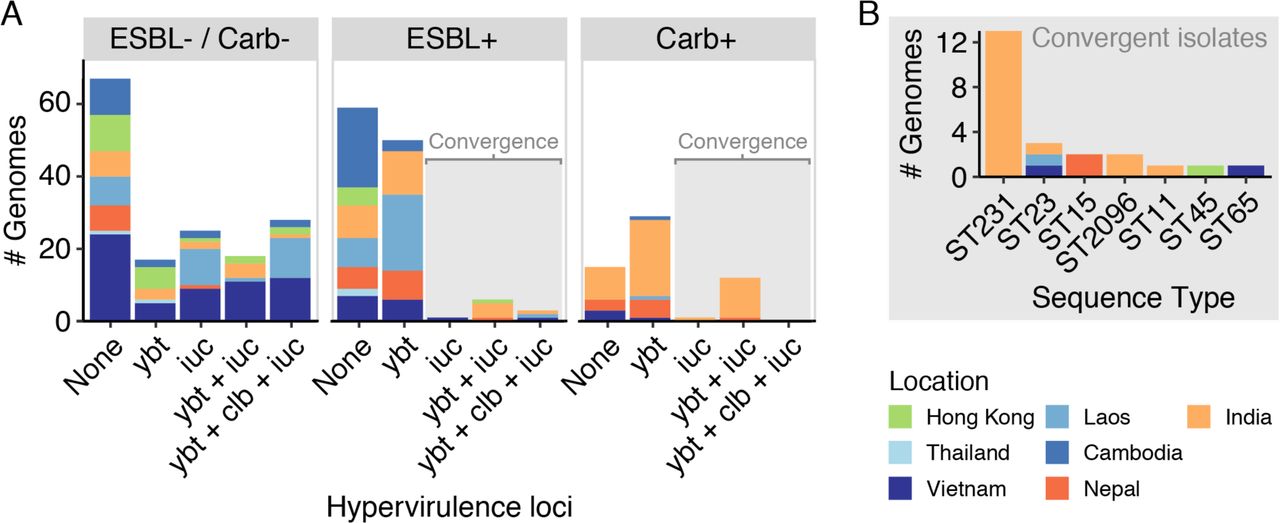 Convergence of virulence and antimicrobial resistance determinants.A) Frequency of genomes carrying the yersiniabactin (ybt), colibactin (clb) and/or aerobactin (iuc) loci shown by ESBL and carbapenemase gene status. Bars are coloured by location as per legend. Grey shading indicates convergent isolates i.e. those harbouring at least one ESBL and/or carbapenamse gene plus iuc with/without ybt and clb. B) Chromosomal sequence types of convergent isolates. Bars are coloured by location as per legend.